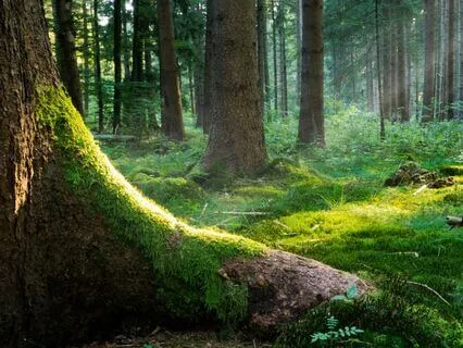 Breathwork To Expand And Ground