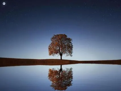 Breathwork To Quiet The Mind