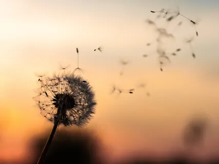 Breathwork To Release And Reset