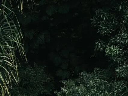 Breathwork To Release Stress & Tension