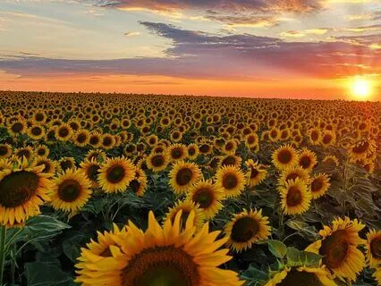 Breathwork To Relieve Anxiety