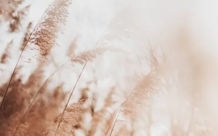 Breathwork To Reset, Relax & Receive