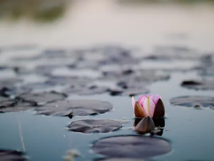 Breathwork to Restore Calm