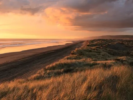 What We Resist Persist - Acceptance Breathwork Meditation