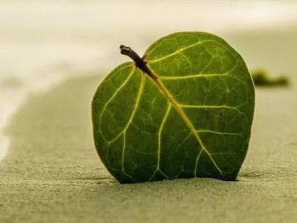 Breeze & Sand - Music For Stress Relief