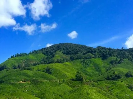 Breeze Through The Hills