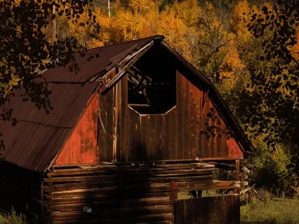 Breezy Barn - Ambience For Focus & Relaxation