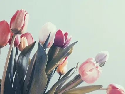 Bridgeen's Deeply Relaxing Compassionate Body Scan