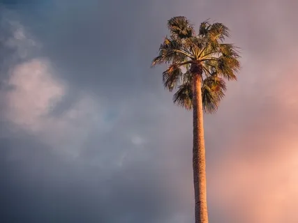 Oxford Befriending Practice