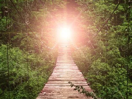 Bridges Of Light: Expanding Compassion From The Heart