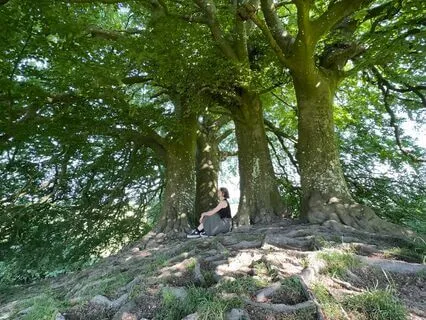 Bridging The Sun Healing Meditation | Summer Solstice