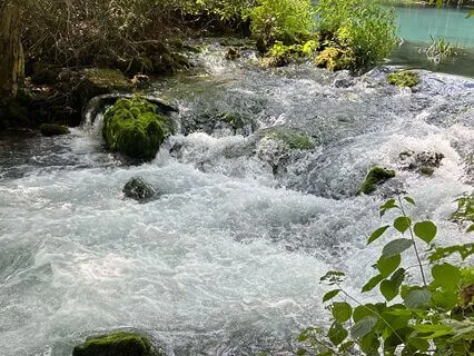 Body Scan Meditation