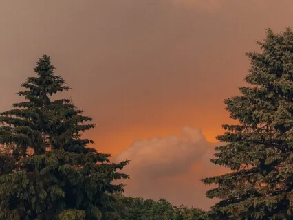 Brief Breath Awareness