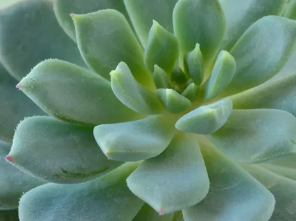 Brief Breath Awareness Practice