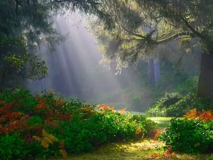 Brief Daily Meditation