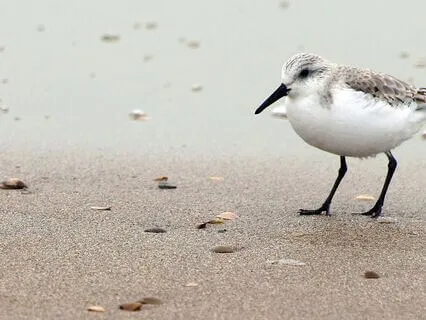 Brief Emotion Practice - Soothe Stress And Triggers