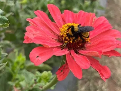 Brief Mindful Check-In For A Busy Day