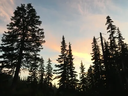 Brief Mindfulness Moment