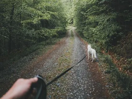 Brief Mindfulness Of Breathing For Beginners