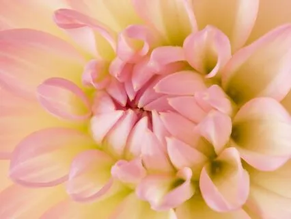 Brief Mindfulness Of The Body