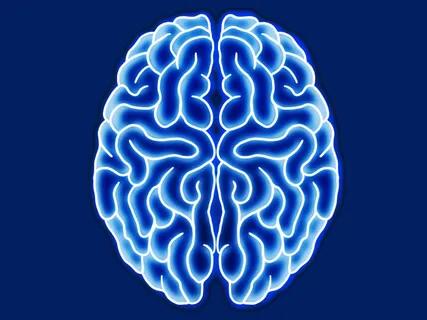 Brief Mindfulness Practice