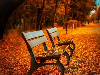 Brief Sitting Exercise