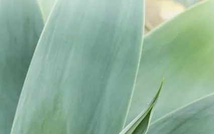 Brief Talk On Hatha Yoga 