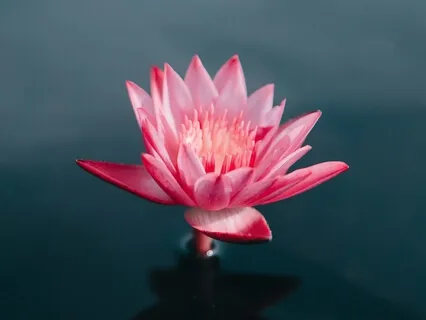 Brief Visualisation For Self-Transformation