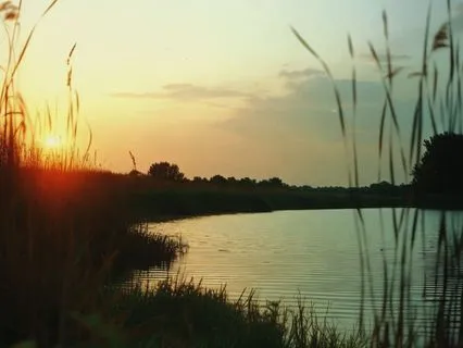 Bright Lofi Piano — Happy & Warm Tunes for a Positive Day |