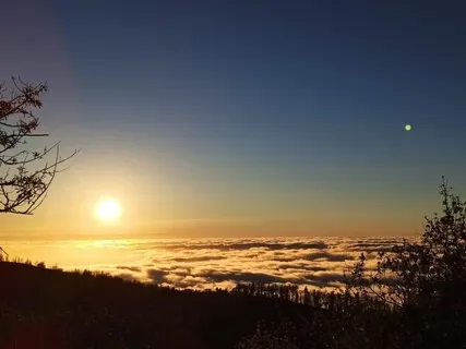 Bright Start: For Sheila (Live Piano 19 Of March 2021)