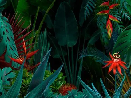 Brilliance Unleashed: Expand Your Consciousness