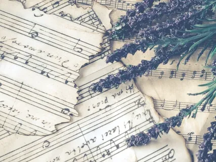 Brilliant Love (Cello & Hang Pan)