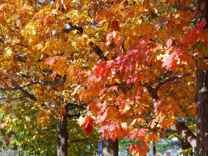 Experiencing More Calm With Awareness Of Two Parts Of You