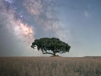 Bring In The Light Of Creation For Healing—Body Scan