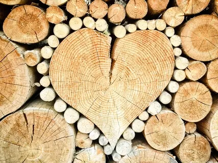 Bring More Love: Begin With Your Heart