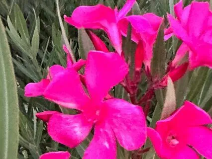 Bring Out Your Best Self