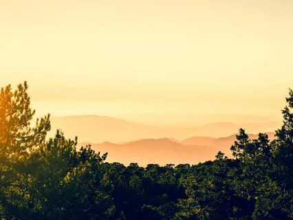 Bring Peace To Anxiety - A Meditation To Get Rid Of Stress