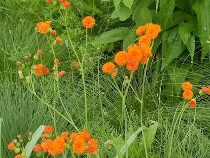 Bringing A Mindful Reset