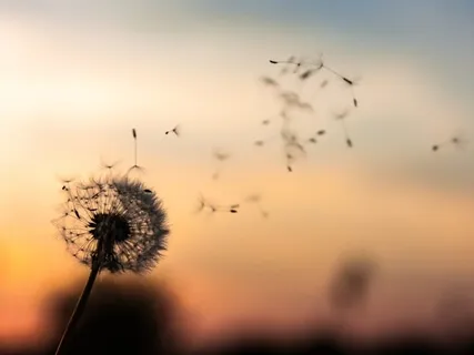 Bringing Attention To Our Space And Heart