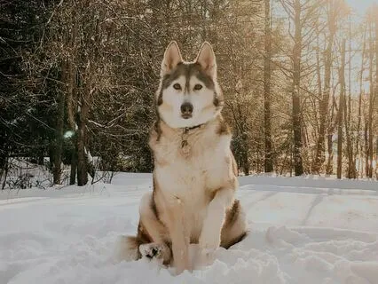 Bringing Awareness To Our Habitual Thinking