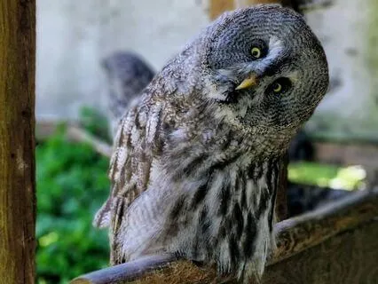 Bringing Awareness To What We "Know"