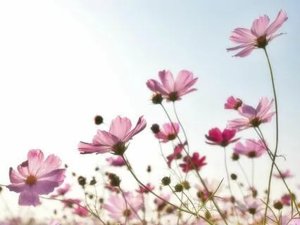 Heal The Body With Compassion