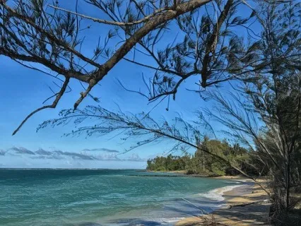 Bringing Heaven To Earth