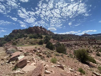 Bringing In The Summer Solstice