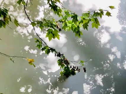 Bringing Shadow Into Light