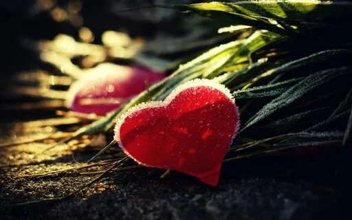 Bringing Suffering To Your Compassionate Heart