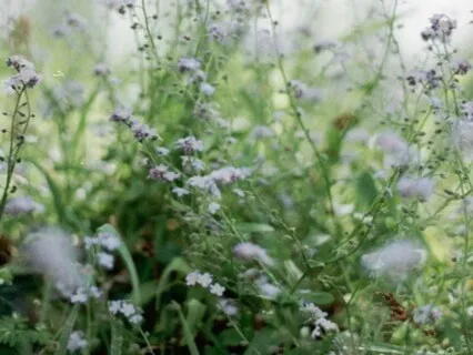 Bringing Support To Our Anxiety By Including What Is Simple