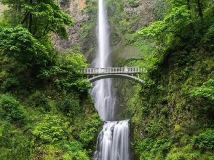 Bringing The Imaginal Parents To Life