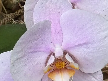 Bringing What's Inside Out