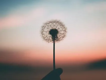 Bringing Your Whole Self To Your Life